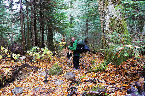 South Twin Mountain, North Twin Spur Trail,  Twin Range, NH 4000 footer, twin mountain south